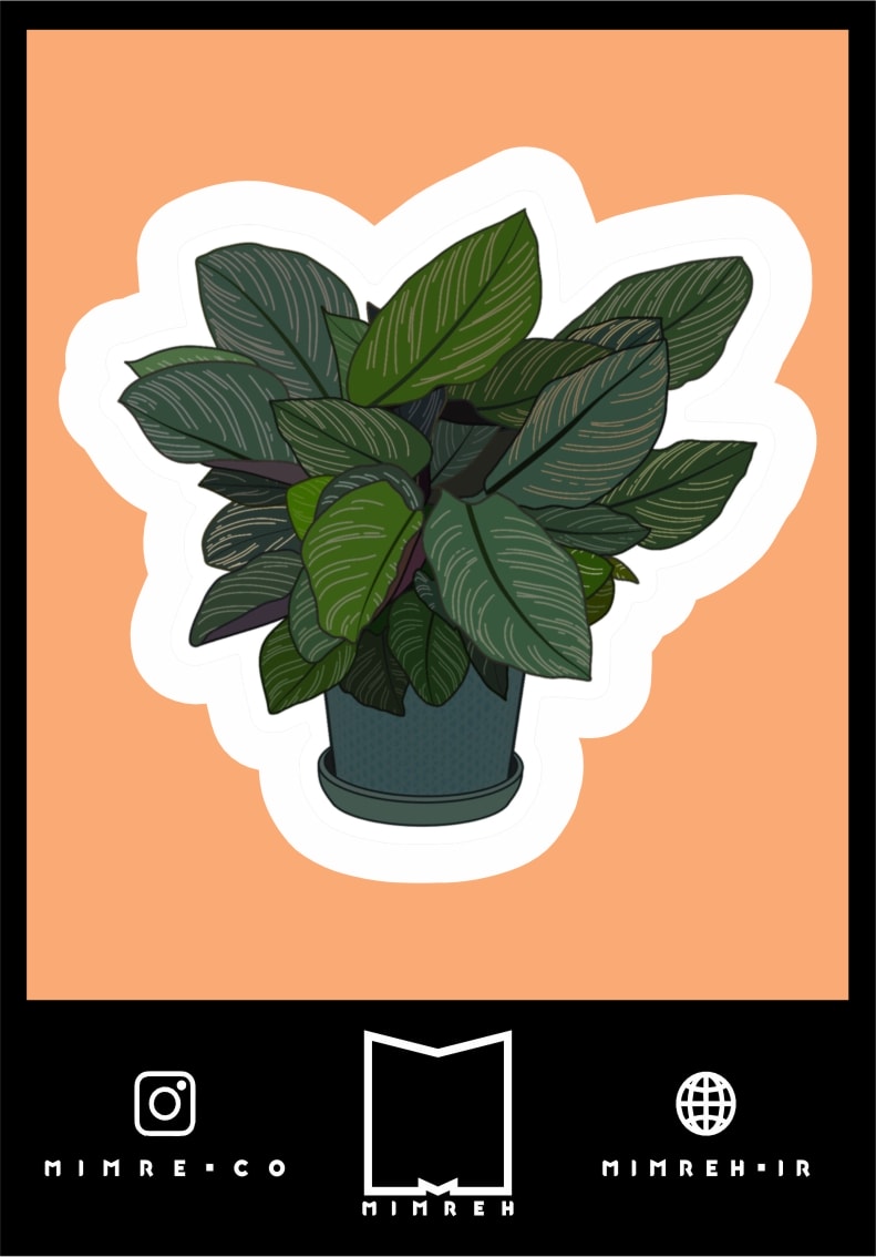 استیکر Plant