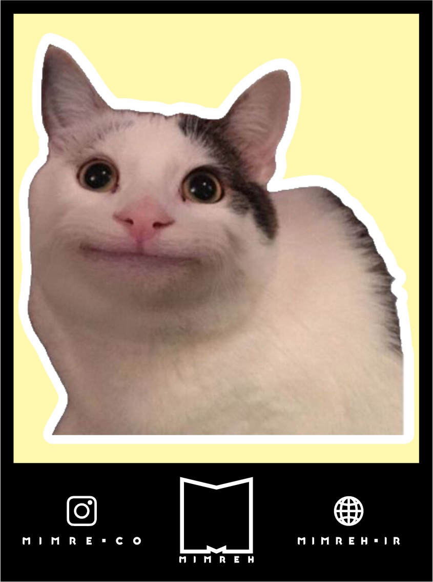 استیکر Cat meme