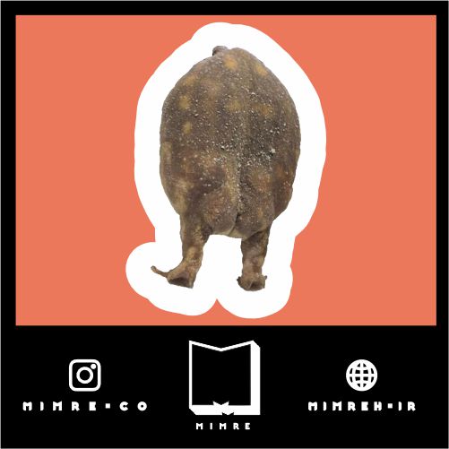 استیکرanimals227